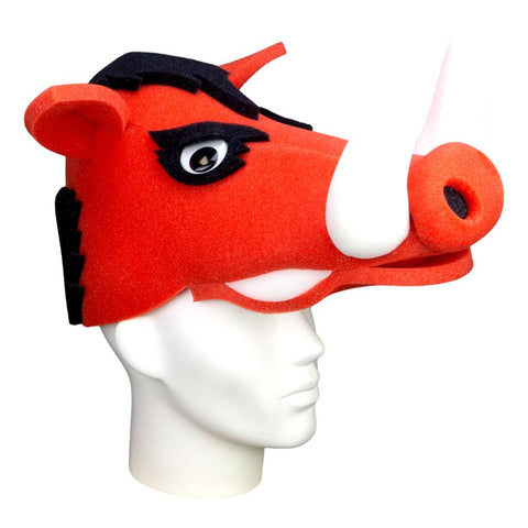 Arkansas Razorbacks Hat