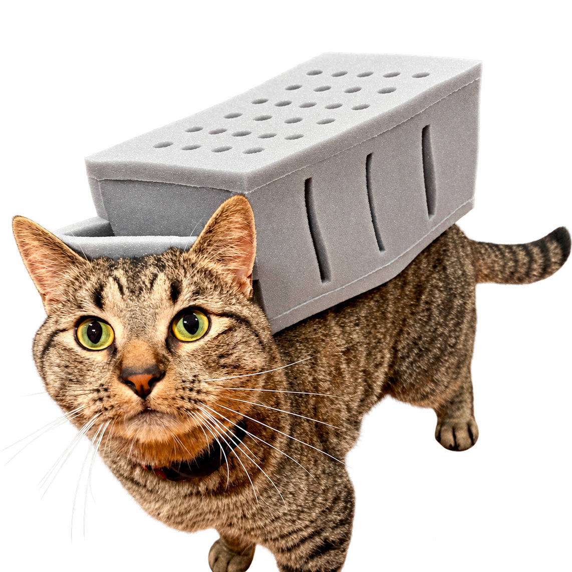 Pet Graterhead