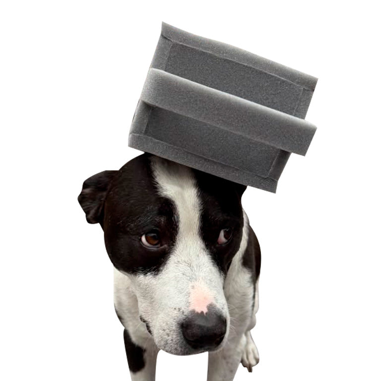 Pet Graterhead