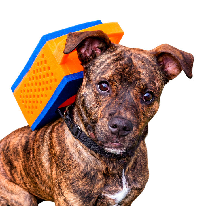 Pet Graterhead