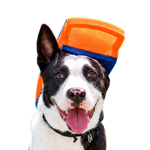 Pet Graterhead